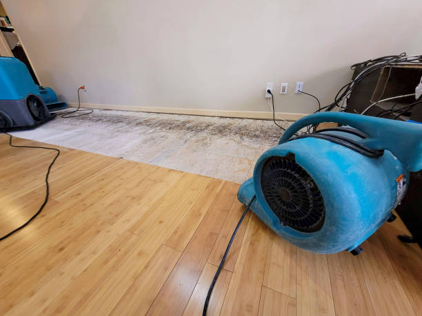 Professional Structural Drying technician working in Rainsville, AL
